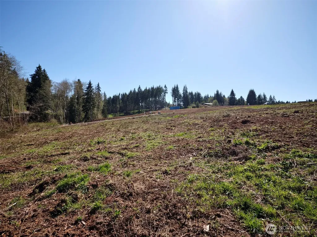 312 Dolan Road Castle Rock WA 98611
