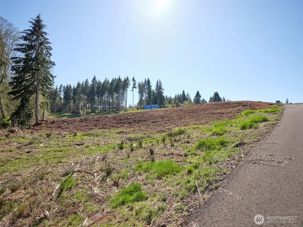 315 Dolan Road Castle Rock WA 98611