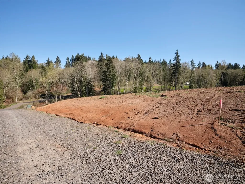 315 Dolan Road Castle Rock WA 98611