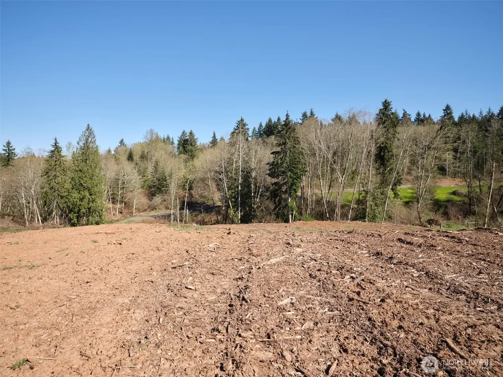 315 Dolan Road Castle Rock WA 98611