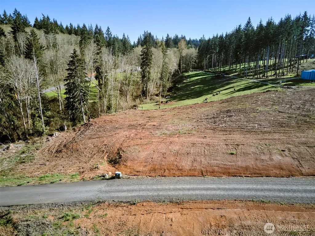 315 Dolan Road Castle Rock WA 98611