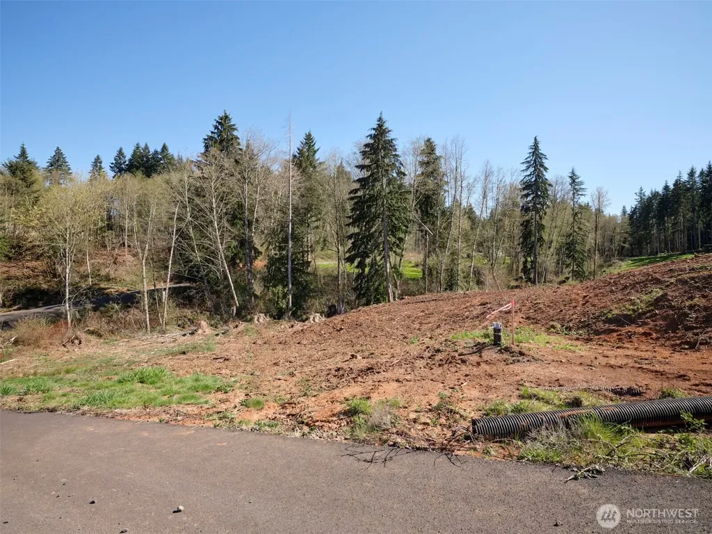 315 Dolan Road Castle Rock WA 98611