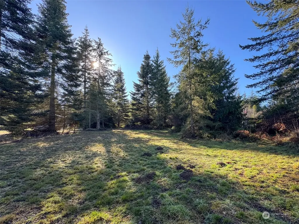 42 S Windflower Lane Port Angeles WA 98362