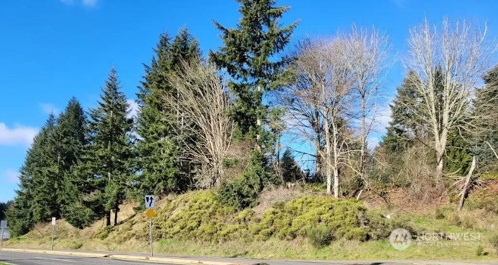 120 Pattison Street NE Olympia WA 98506