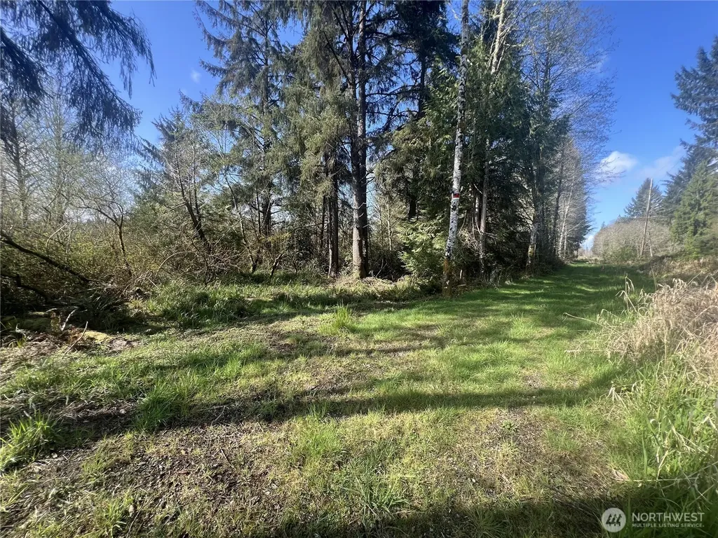 0 3rd Street Cosmopolis WA 98537