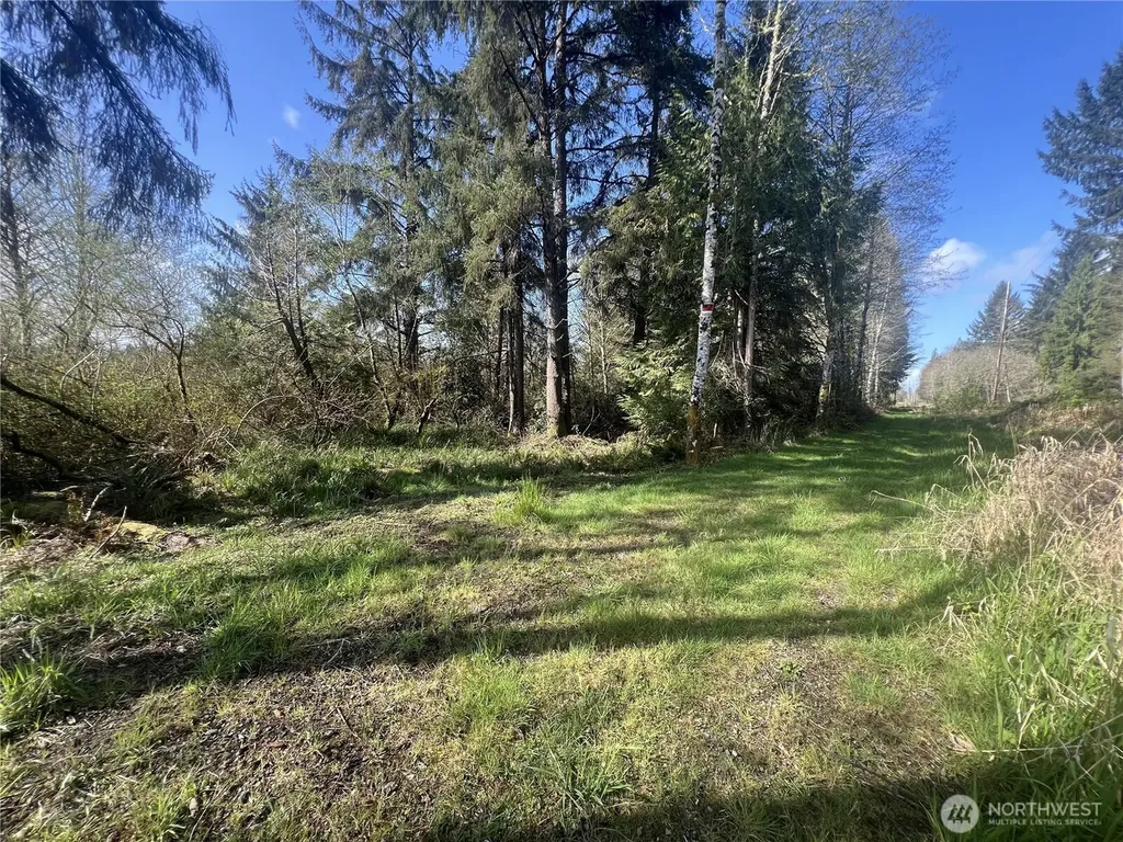0 3rd Street Cosmopolis WA 98537