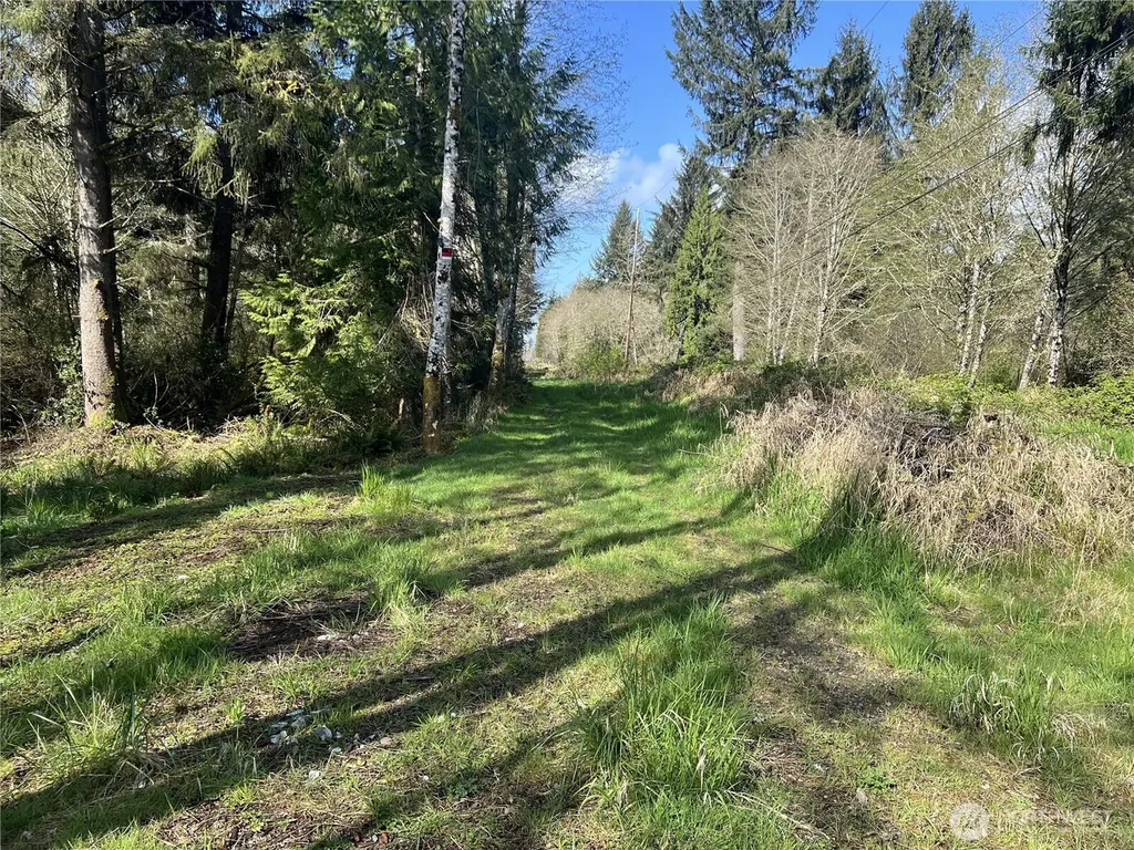 0 3rd Street Cosmopolis WA 98537
