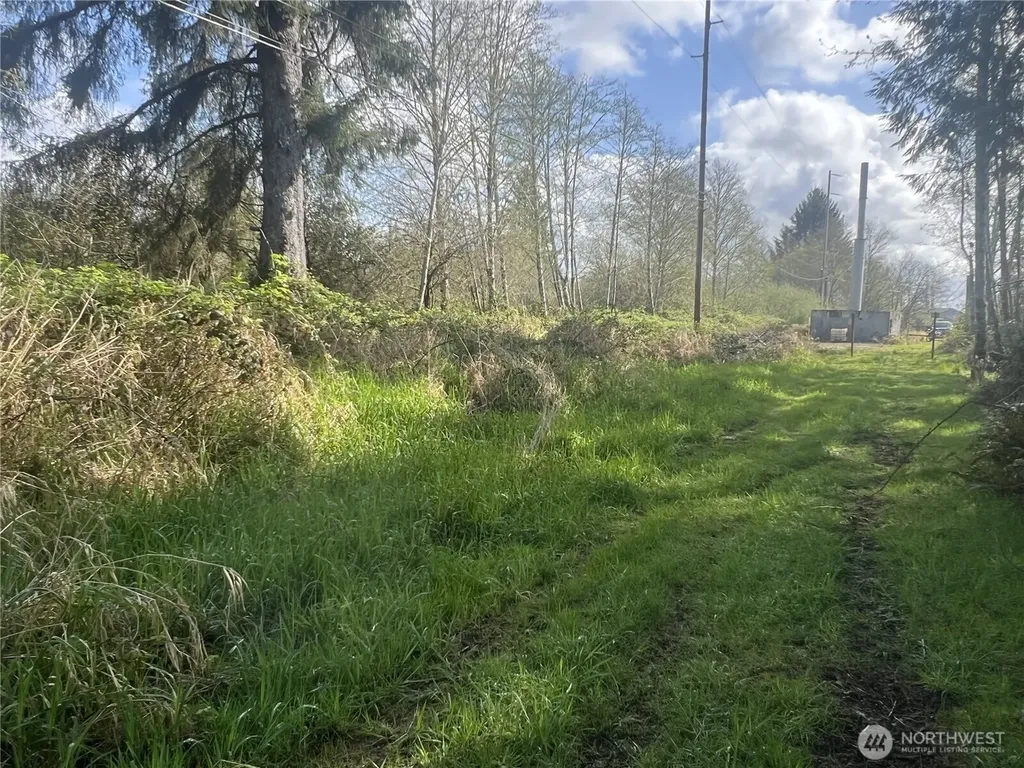 0 3rd Street Cosmopolis WA 98537