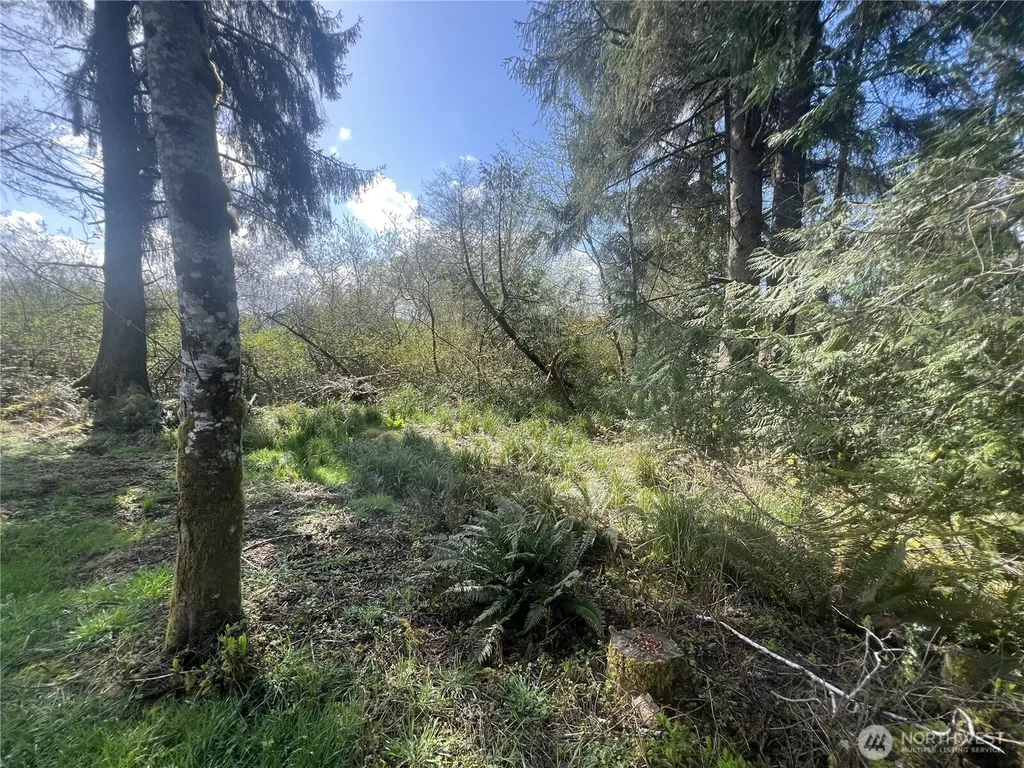 0 3rd Street Cosmopolis WA 98537