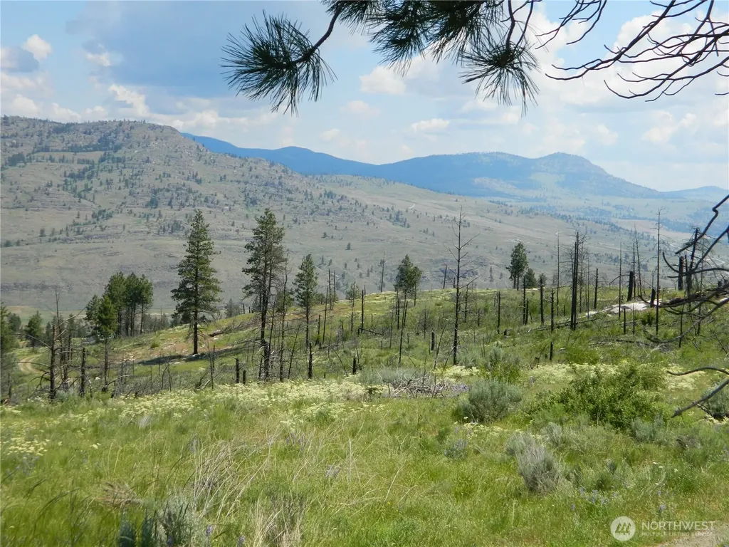 428 Five Mile Road Tonasket WA 98855