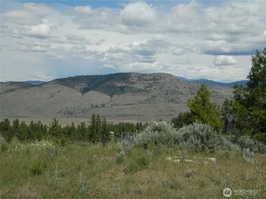 428 Five Mile Road Tonasket WA 98855