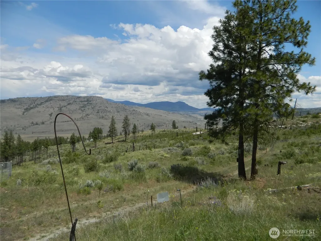 428 Five Mile Road Tonasket WA 98855