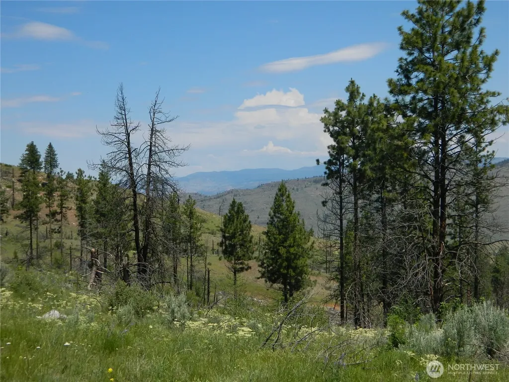 428 Five Mile Road Tonasket WA 98855