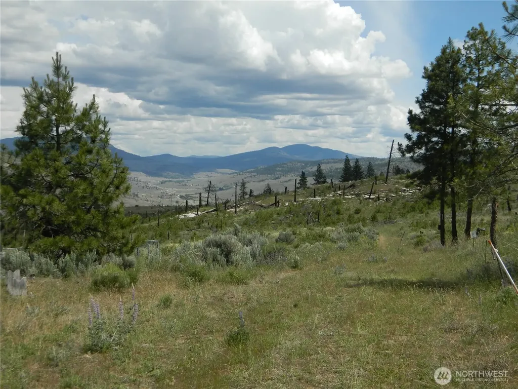 428 Five Mile Road Tonasket WA 98855