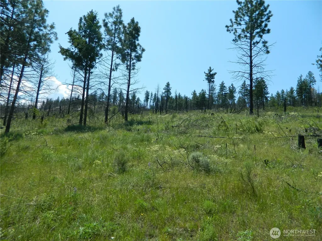 428 Five Mile Road Tonasket WA 98855