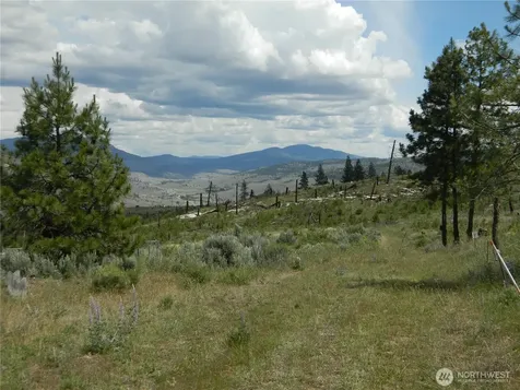 428 Five Mile Road Tonasket WA 98855