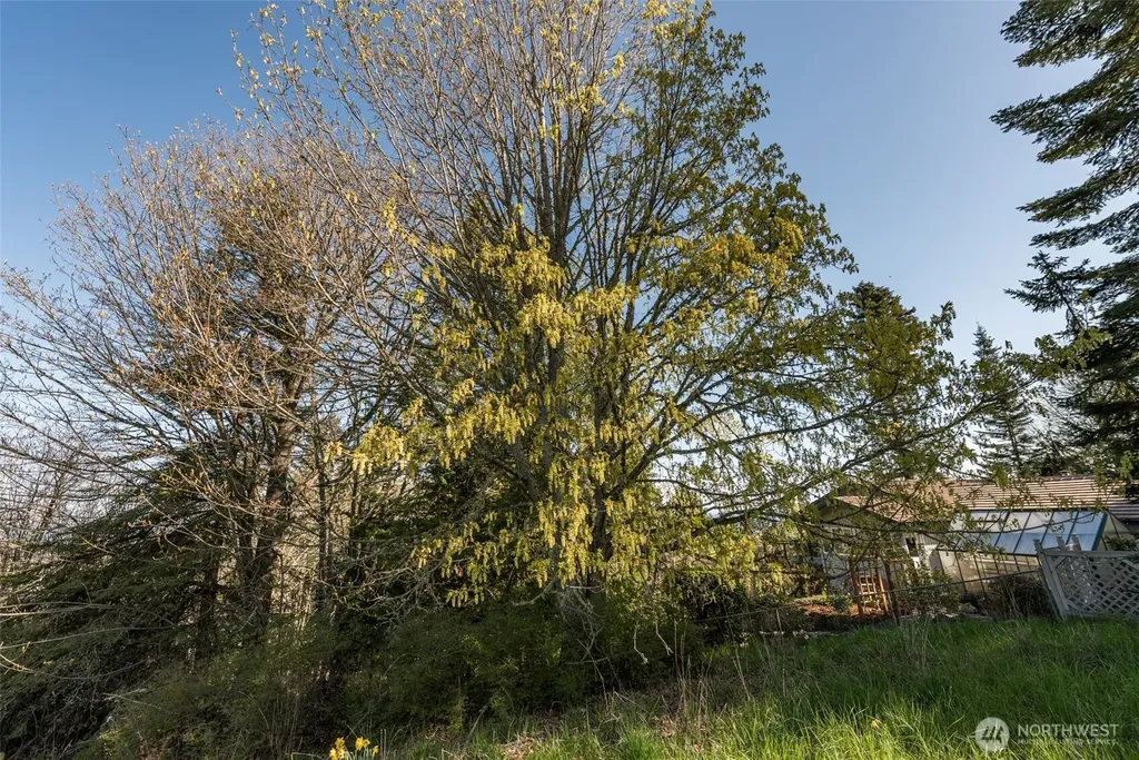 999 Ravens Ridge Road Sequim WA 98382
