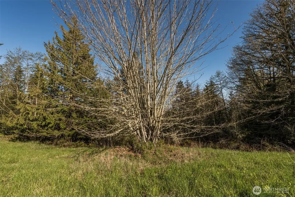 999 Ravens Ridge Road Sequim WA 98382
