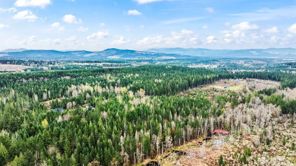 123 Highland Drive E Roy WA 98580