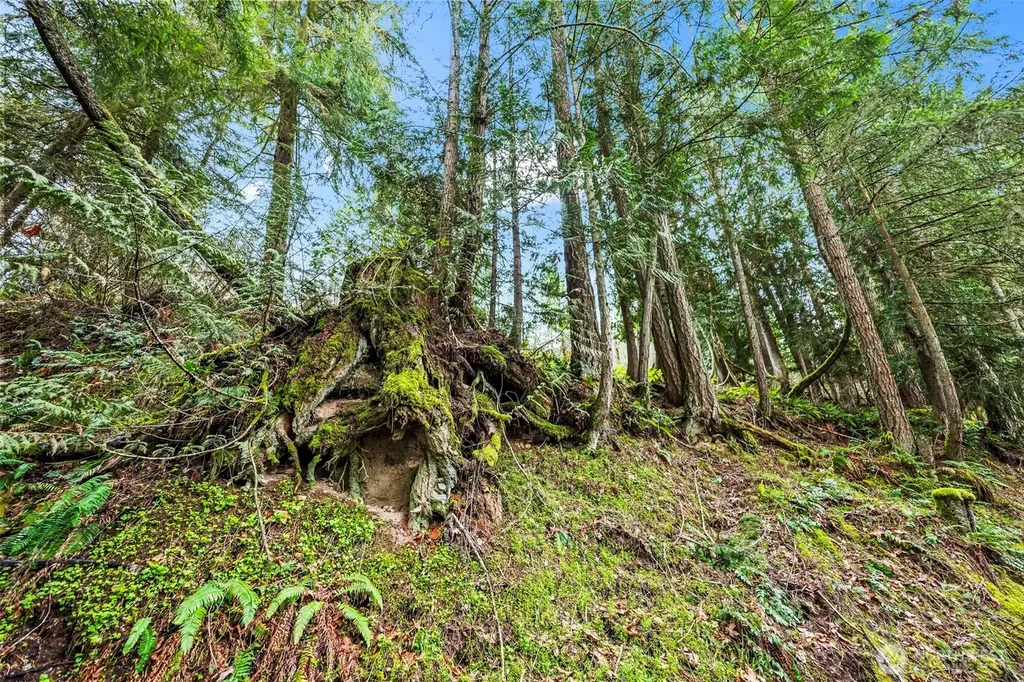 123 Highland Drive E Roy WA 98580