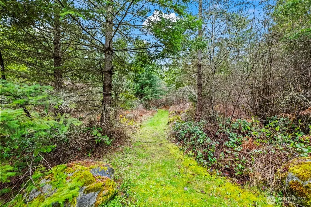 123 Highland Drive E Roy WA 98580
