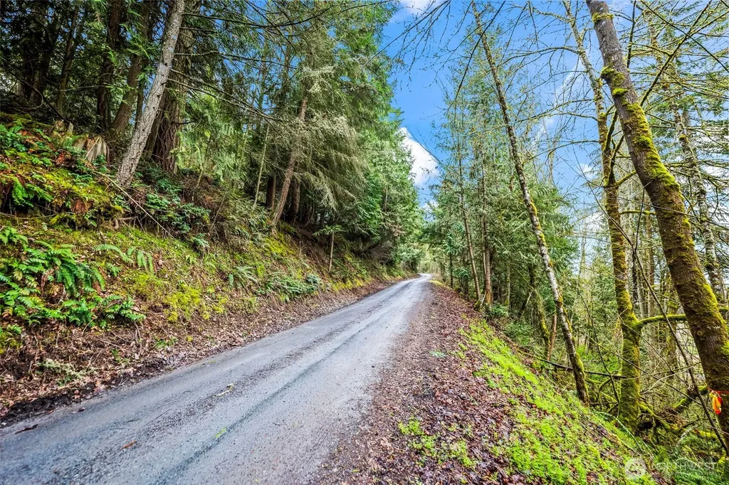 123 Highland Drive E Roy WA 98580