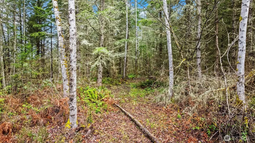123 Highland Drive E Roy WA 98580