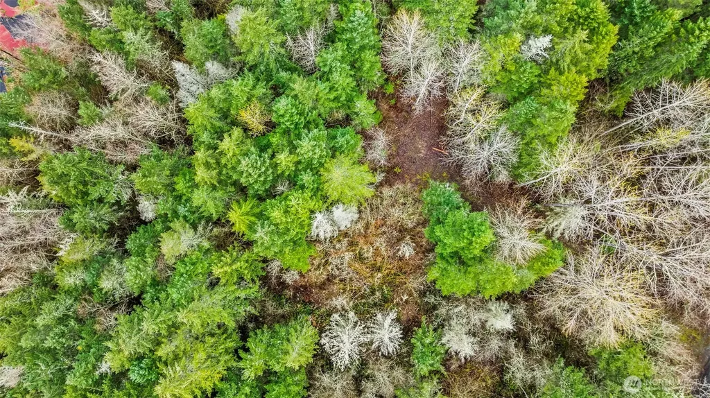 123 Highland Drive E Roy WA 98580