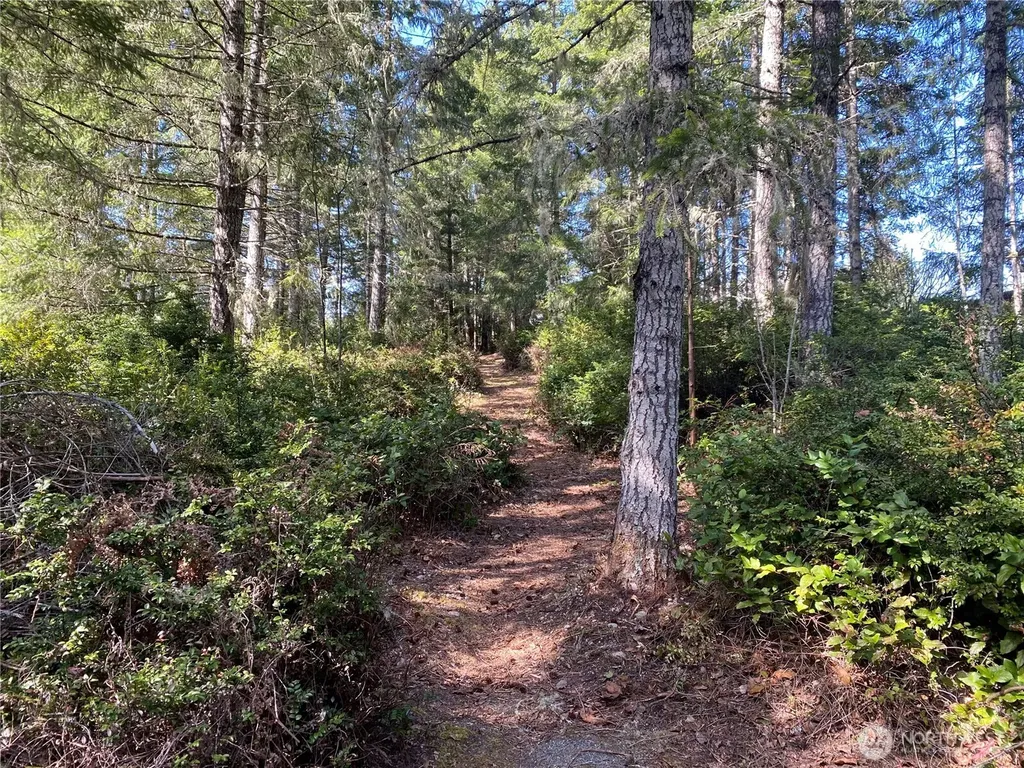 200 E Soderberg Road Allyn WA 98524