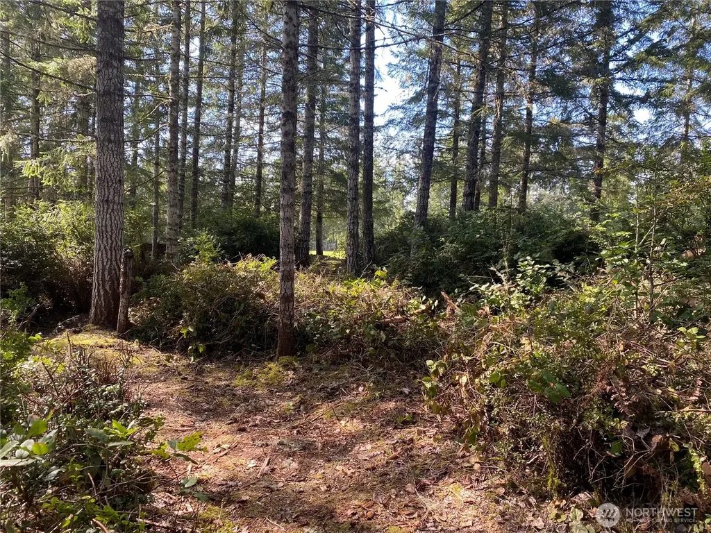 200 E Soderberg Road Allyn WA 98524
