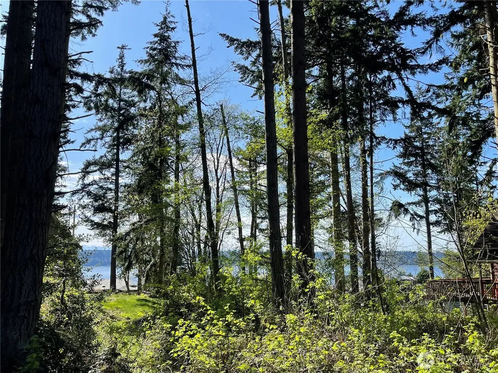 99 Port Gardner Drive Hat Island WA 98206