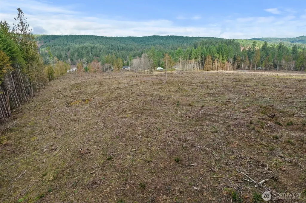 0 Little Hanaford Centralia WA 98531