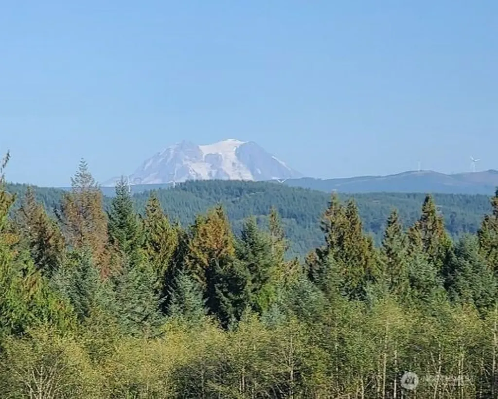 0 Little Hanaford Centralia WA 98531