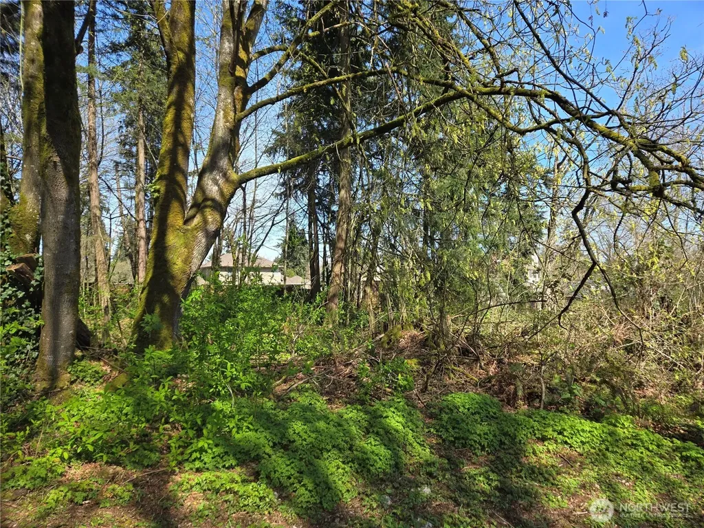 34249 21st Avenue SW Federal Way WA 98023