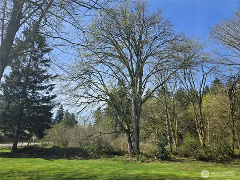 34249 21st Avenue SW Federal Way WA 98023