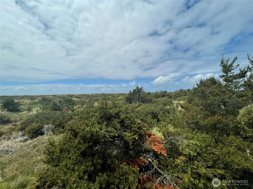 855 S Sand Dune Avenue SW Ocean Shores WA 98569