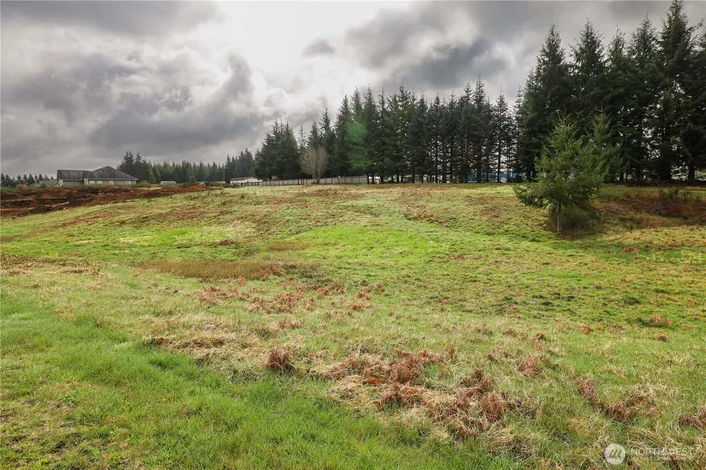 12 Grace Lane Montesano WA 98563