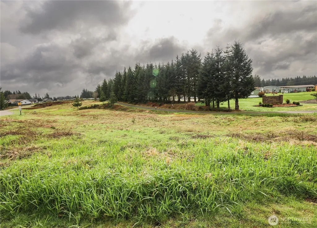 6 Grace Lane Montesano WA 98563