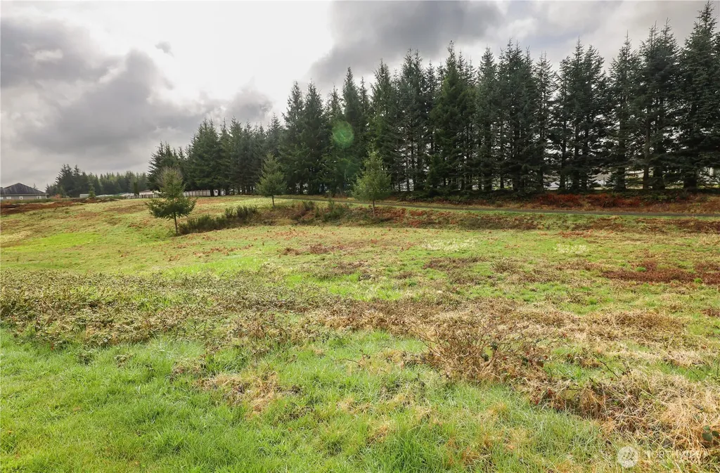 6 Grace Lane Montesano WA 98563