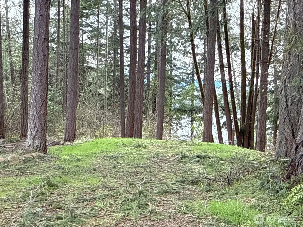 18243 SE Suncrest Court Yelm WA 98597