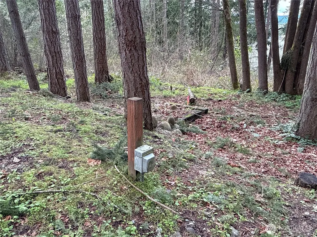 18243 SE Suncrest Court Yelm WA 98597