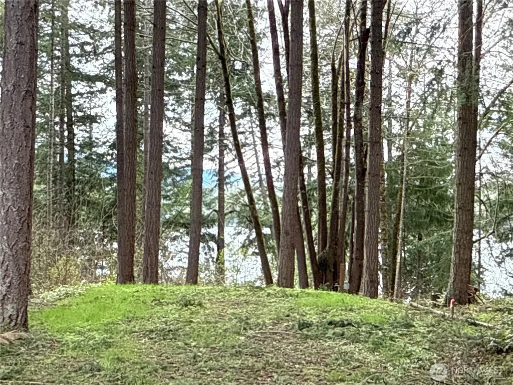 18243 SE Suncrest Court Yelm WA 98597