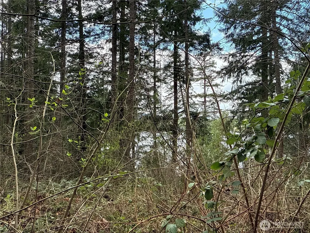 18243 SE Suncrest Court Yelm WA 98597