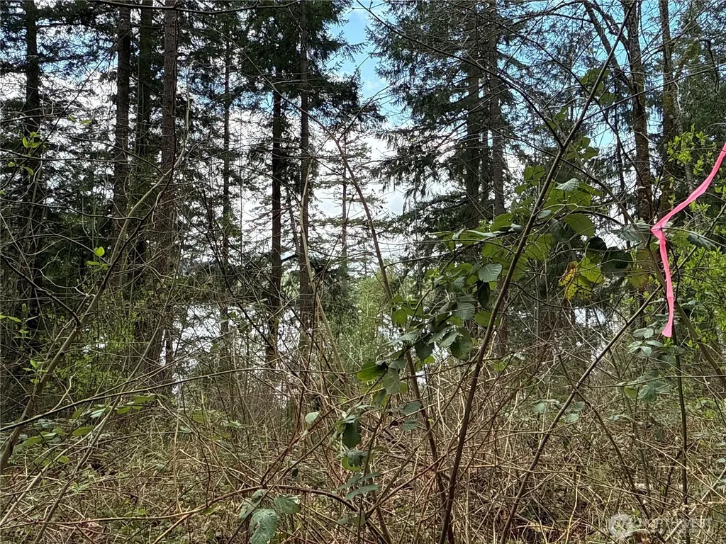 18243 SE Suncrest Court Yelm WA 98597