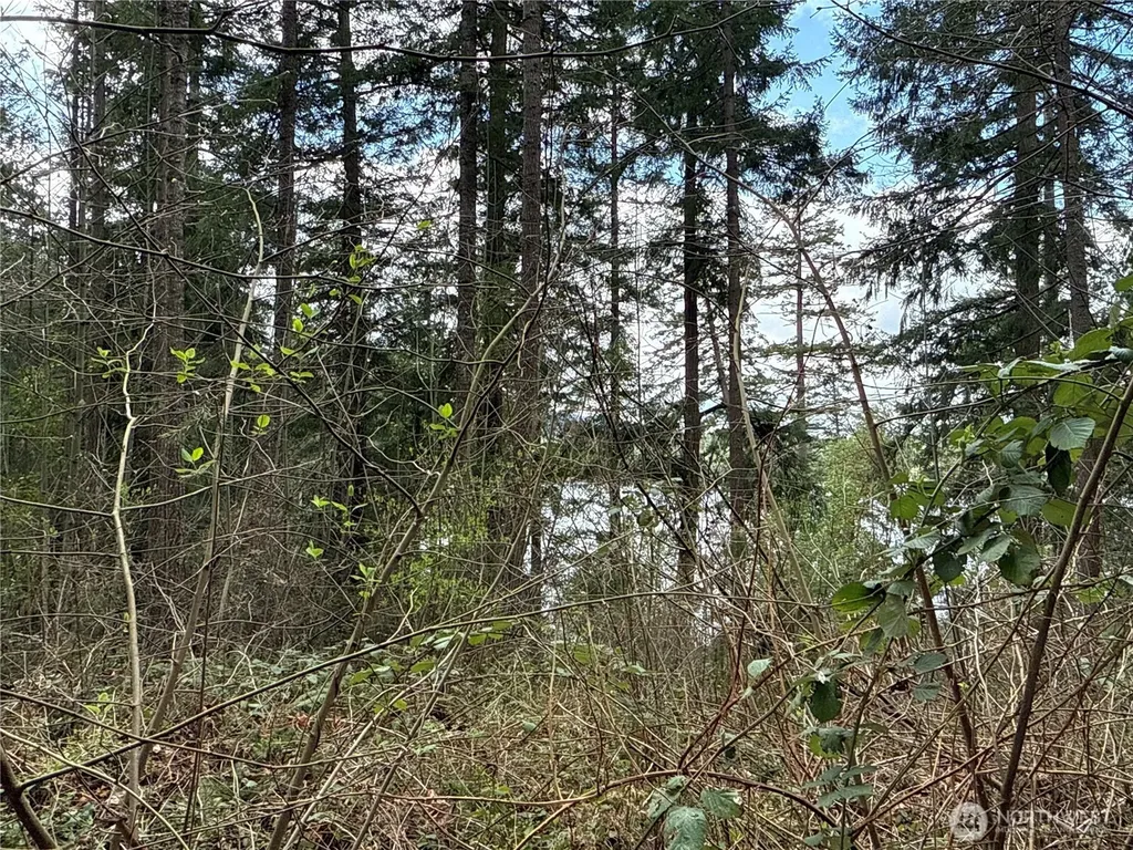 18243 SE Suncrest Court Yelm WA 98597