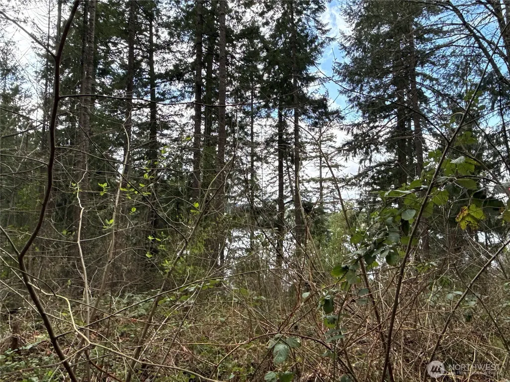 18243 SE Suncrest Court Yelm WA 98597