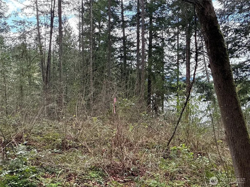 18243 SE Suncrest Court Yelm WA 98597