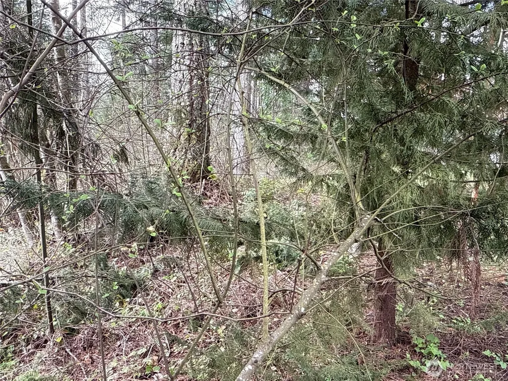 18243 SE Suncrest Court Yelm WA 98597