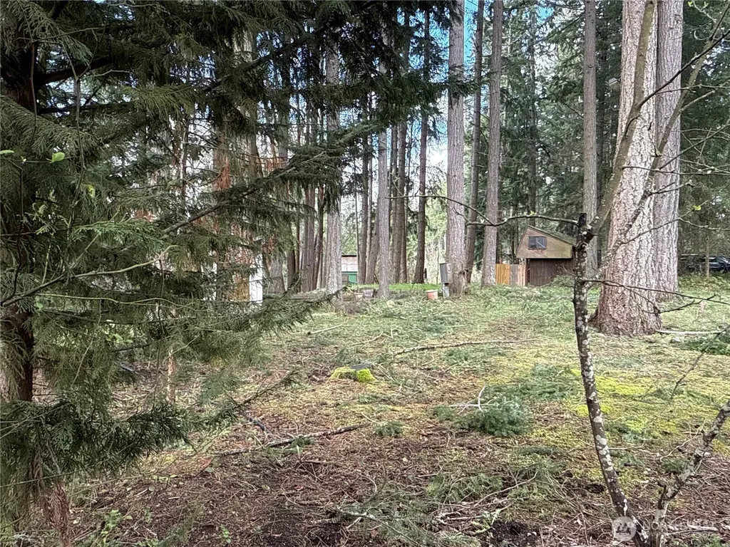 18243 SE Suncrest Court Yelm WA 98597