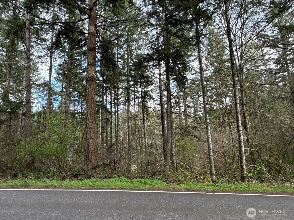 17636 E Clear Lake Boulevard SE Yelm WA 98597